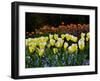 Sunken Garden, Butchart Gardens, Victoria, British Columbia, Canada-null-Framed Photographic Print