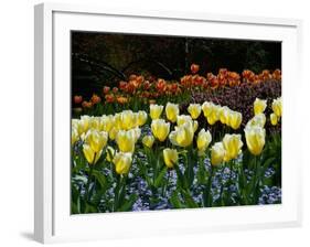 Sunken Garden, Butchart Gardens, Victoria, British Columbia, Canada-null-Framed Photographic Print