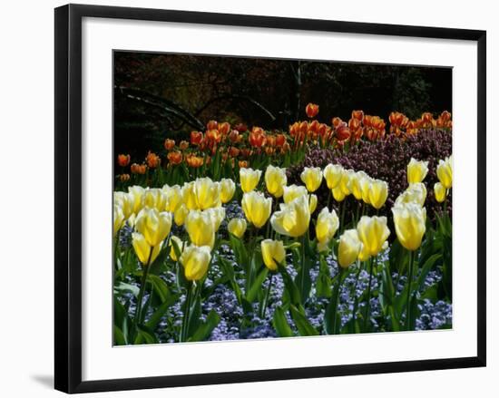 Sunken Garden, Butchart Gardens, Victoria, British Columbia, Canada-null-Framed Photographic Print