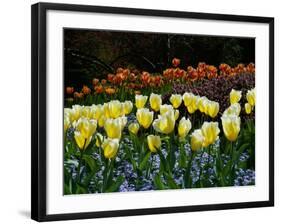 Sunken Garden, Butchart Gardens, Victoria, British Columbia, Canada-null-Framed Photographic Print