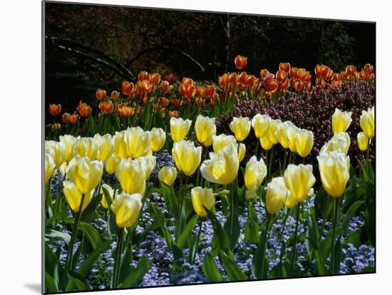 Sunken Garden, Butchart Gardens, Victoria, British Columbia, Canada-null-Mounted Photographic Print