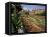 Sunken Gardens, Hampton Court Palace, Greater London, England, United Kingdom-Walter Rawlings-Framed Stretched Canvas