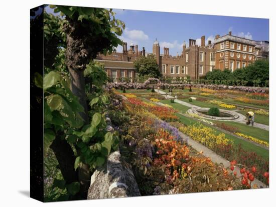 Sunken Gardens, Hampton Court Palace, Greater London, England, United Kingdom-Walter Rawlings-Stretched Canvas
