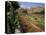 Sunken Gardens, Hampton Court Palace, Greater London, England, United Kingdom-Walter Rawlings-Stretched Canvas