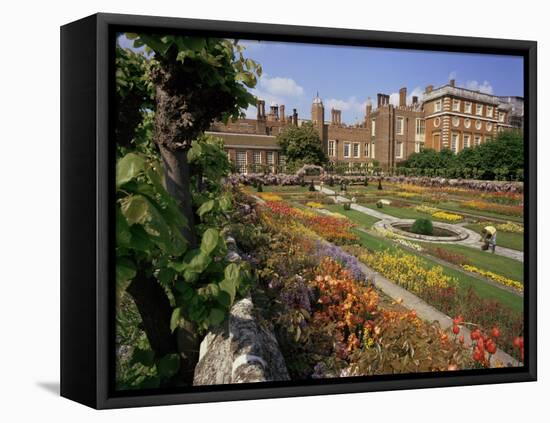 Sunken Gardens, Hampton Court Palace, Greater London, England, United Kingdom-Walter Rawlings-Framed Stretched Canvas