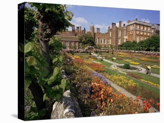 Sunken Gardens, Hampton Court Palace, Greater London, England, United Kingdom-Walter Rawlings-Stretched Canvas