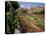 Sunken Gardens, Hampton Court Palace, Greater London, England, United Kingdom-Walter Rawlings-Stretched Canvas