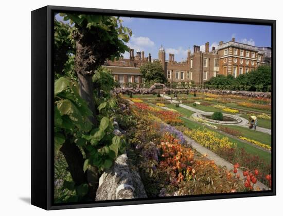 Sunken Gardens, Hampton Court Palace, Greater London, England, United Kingdom-Walter Rawlings-Framed Stretched Canvas