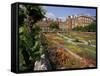 Sunken Gardens, Hampton Court Palace, Greater London, England, United Kingdom-Walter Rawlings-Framed Stretched Canvas