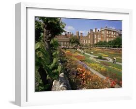 Sunken Gardens, Hampton Court Palace, Greater London, England, United Kingdom-Walter Rawlings-Framed Photographic Print