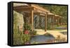 Sunken Gardens, St. Petersburg, Florida-null-Framed Stretched Canvas