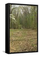 Sunken Road, Scene of Fighting in the Hornet's Nest on the Battlefield at Shiloh, Tennessee-null-Framed Stretched Canvas