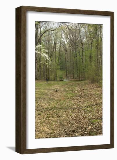 Sunken Road, Scene of Fighting in the Hornet's Nest on the Battlefield at Shiloh, Tennessee-null-Framed Photographic Print