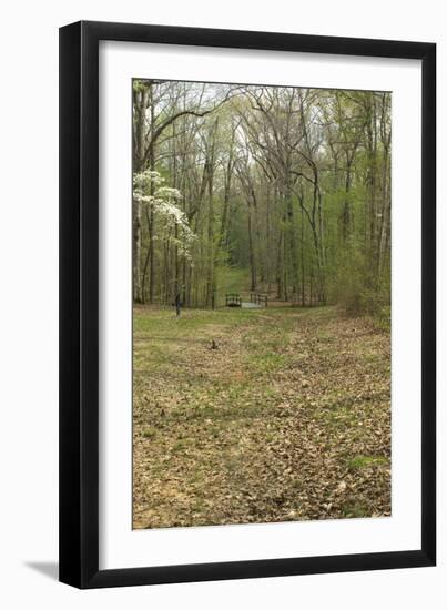 Sunken Road, Scene of Fighting in the Hornet's Nest on the Battlefield at Shiloh, Tennessee-null-Framed Photographic Print