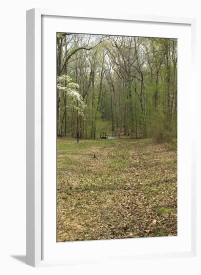 Sunken Road, Scene of Fighting in the Hornet's Nest on the Battlefield at Shiloh, Tennessee-null-Framed Photographic Print