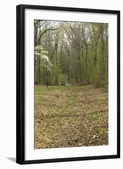 Sunken Road, Scene of Fighting in the Hornet's Nest on the Battlefield at Shiloh, Tennessee-null-Framed Photographic Print