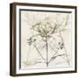 Sunkissed Floral-Albert Koetsier-Framed Photographic Print