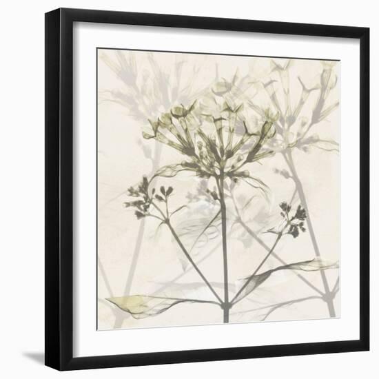 Sunkissed Floral-Albert Koetsier-Framed Photographic Print