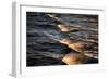 Sunkissed Waves-Mareike Böhmer-Framed Giclee Print