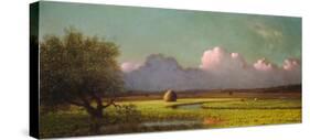 Sunlight and Shadow: The Newbury Marshes, c. 1871/1875-Martin Johnson Heade-Stretched Canvas