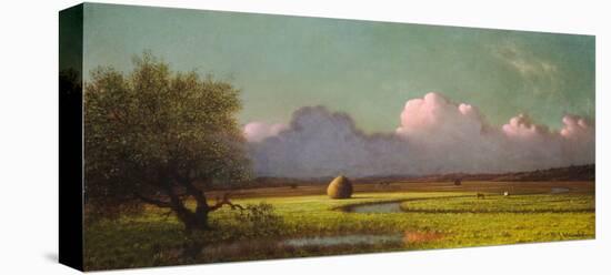 Sunlight and Shadow: The Newbury Marshes, c. 1871/1875-Martin Johnson Heade-Stretched Canvas