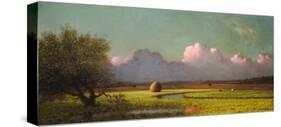 Sunlight and Shadow: The Newbury Marshes, c. 1871/1875-Martin Johnson Heade-Stretched Canvas