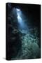 Sunlight Descends Underwater and into a Crevice in a Reef in the Solomon Islands-Stocktrek Images-Stretched Canvas