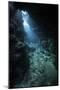 Sunlight Descends Underwater and into a Crevice in a Reef in the Solomon Islands-Stocktrek Images-Mounted Photographic Print
