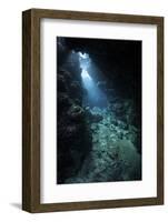 Sunlight Descends Underwater and into a Crevice in a Reef in the Solomon Islands-Stocktrek Images-Framed Photographic Print