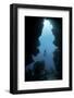Sunlight Descends Underwater and into a Crevice on Palau's Barrier Reef-Stocktrek Images-Framed Photographic Print