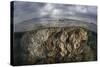 Sunlight Falls on a Beautiful Reef in Komodo National Park-Stocktrek Images-Stretched Canvas