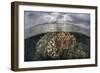 Sunlight Falls on a Beautiful Reef in Komodo National Park-Stocktrek Images-Framed Photographic Print