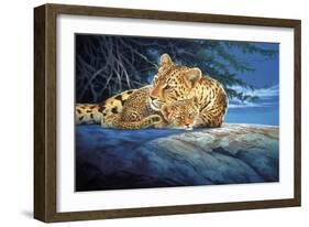 Sunlight Filtering-Joh Naito-Framed Giclee Print