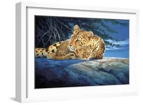 Sunlight Filtering-Joh Naito-Framed Giclee Print