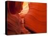 Sunlight Filters Down Carved Red Sandstone Walls of Lower Antelope Canyon, Page, Arizona, Usa-Paul Souders-Stretched Canvas