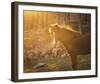 Sunlight Glance-Mikael Svensson-Framed Giclee Print