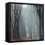 Sunlight in the autumnal Teutoburg Forest.-Nadja Jacke-Framed Stretched Canvas