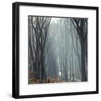 Sunlight in the autumnal Teutoburg Forest.-Nadja Jacke-Framed Photographic Print