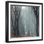 Sunlight in the autumnal Teutoburg Forest.-Nadja Jacke-Framed Photographic Print