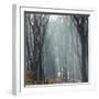 Sunlight in the autumnal Teutoburg Forest.-Nadja Jacke-Framed Photographic Print