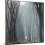 Sunlight in the autumnal Teutoburg Forest.-Nadja Jacke-Mounted Photographic Print