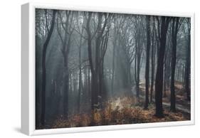 Sunlight in the autumnal Teutoburg Forest.-Nadja Jacke-Framed Photographic Print