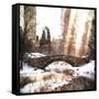 Sunlight on Central Park-Philippe Hugonnard-Framed Stretched Canvas