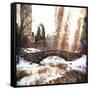 Sunlight on Central Park-Philippe Hugonnard-Framed Stretched Canvas