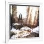 Sunlight on Central Park-Philippe Hugonnard-Framed Giclee Print