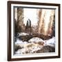 Sunlight on Central Park-Philippe Hugonnard-Framed Giclee Print