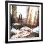 Sunlight on Central Park-Philippe Hugonnard-Framed Giclee Print