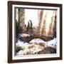 Sunlight on Central Park-Philippe Hugonnard-Framed Giclee Print