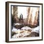 Sunlight on Central Park-Philippe Hugonnard-Framed Giclee Print