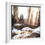 Sunlight on Central Park-Philippe Hugonnard-Framed Giclee Print